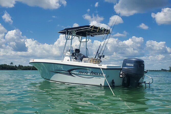 Sonnys Boat Tours Full Day Sand Bar Adventure Englewood, Florida - Final Thoughts: Who Will Love This?