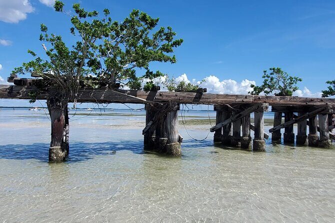 Sonnys Boat Tours Full Day Sand Bar Adventure Englewood, Florida - The Sum Up