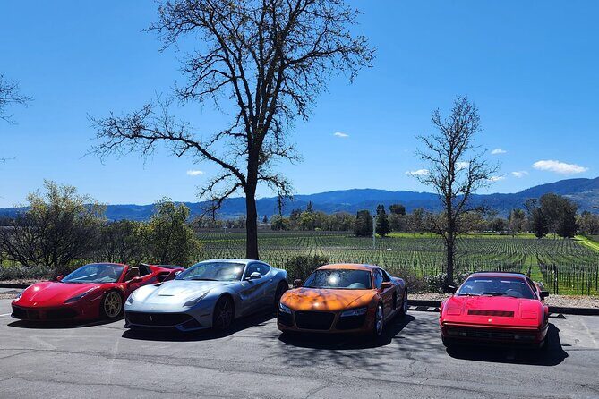 Sonoma and Napa Champagne Wine Private Tour Half Day - The Itinerary in Detail: What to Expect