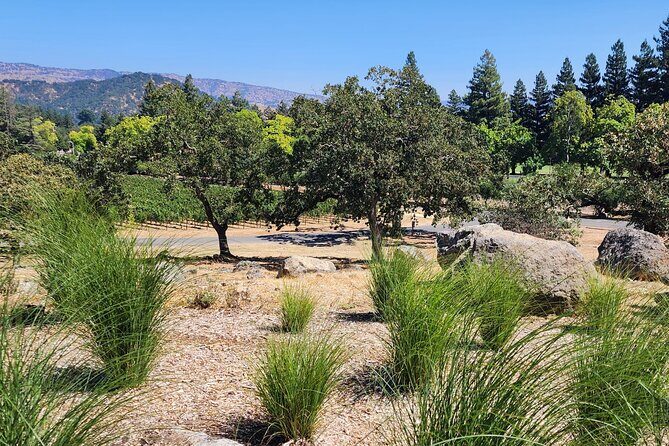 Sonoma and Napa Champagne Wine Private Tour Half Day - Pricing and Value: Is It Worth It?
