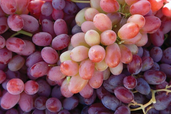 Sonoma And Napa Wine Tour Private Tours 8 to 10 Hours max 14 pax - A Closer Look at the Sonoma and Napa Wine Tour