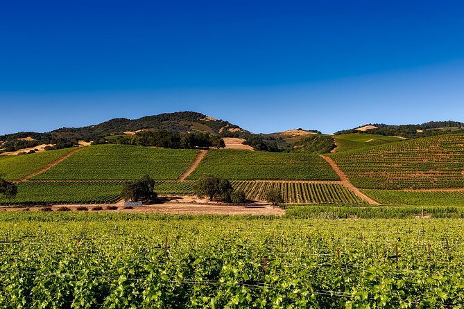 Sonoma And Napa Wine Tour Private Tours 8 to 10 Hours max 14 pax - The Cost and Value: Is It Worth It?