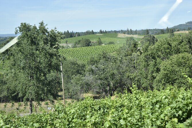 Sonoma And Napa Wine Tour Private Tours 8 to 10 Hours max 14 pax - The Sum Up