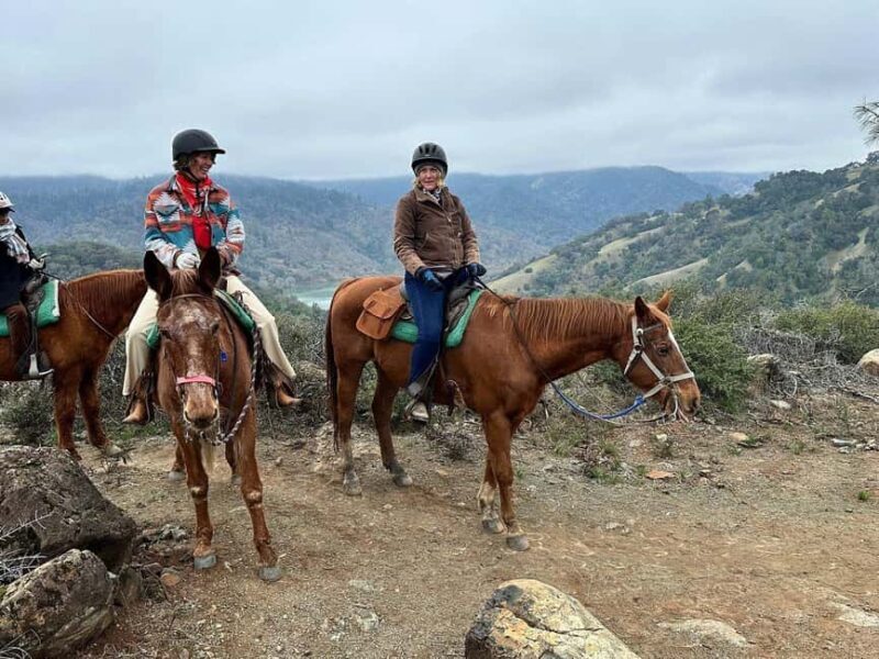 Sonoma County: Wine Country Horseback Riding Adventure - An In-Depth Look at the Sonoma County Horseback Adventure