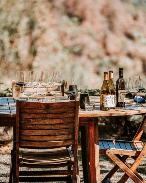 Sonoma: Explore Natural Wineries with a Local Sommelière - Sonoma: Explore Natural Wineries with a Local Sommelière — A Practical Guide