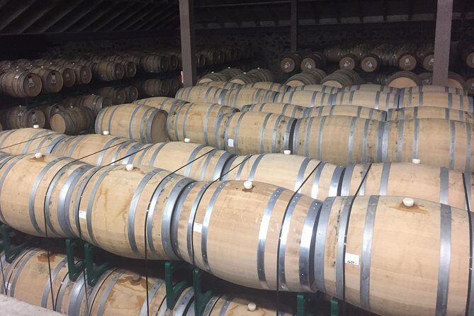 Sonoma & Healdsburg Wine Tours - An In-Depth Look at the Sonoma & Healdsburg Tour