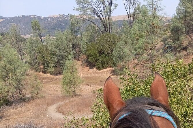 Sonoma Horseback-Riding Tour - Detailed Breakdown of the Tour’s Stops