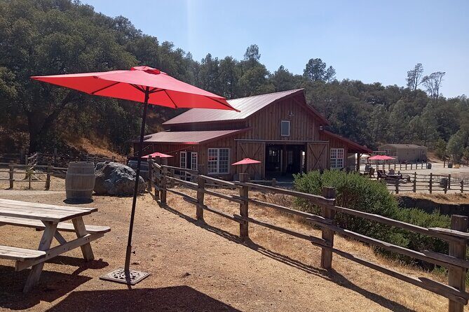 Sonoma Horseback-Riding Tour - Practical Details and Considerations