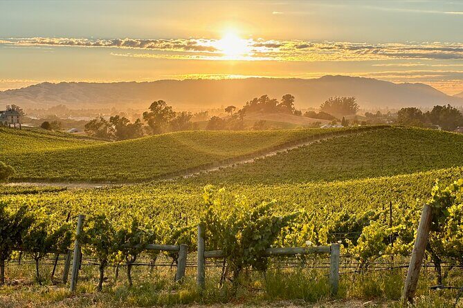 Sonoma Private 6-Hour Wine Adventure - FAQ