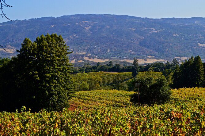 Sonoma Private Hike and Wine Tour - Practical Details and Logistics
