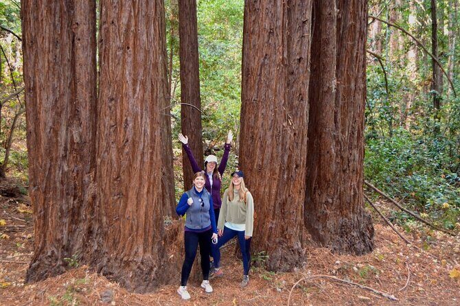 Sonoma Private Hike and Wine Tour - Who Should Consider This Tour?