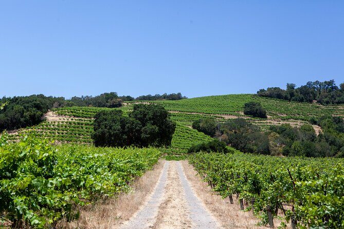 Sonoma Trike and Mindfulness - 3 hour guided tour - A Detailed Look at the Sonoma Trike and Mindfulness Tour