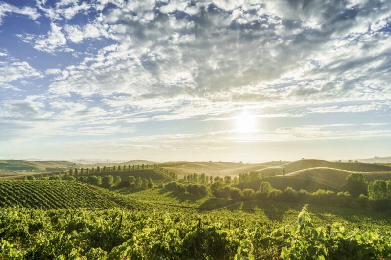 Sonoma Valley: Guided Winery Tour with Picnic Lunch - Key Points