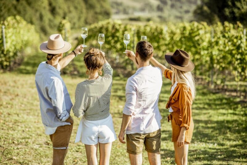 Sonoma Valley: Guided Winery Tour with Picnic Lunch - An In-Depth Look at the Sonoma Valley Guided Winery Tour