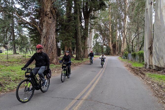 Sonoma Valley Pedal Assist Bike Tour with Lunch - The Sum Up