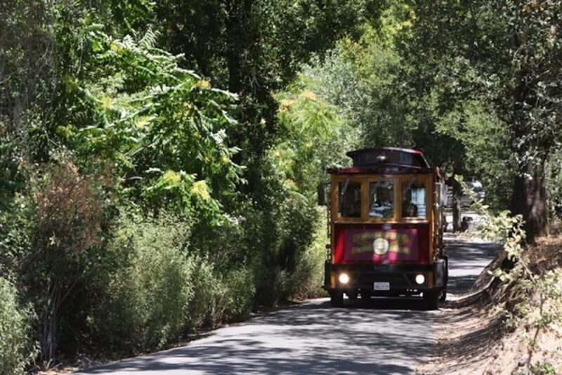 Sonoma Valley: Wine Trolley Tasting Tour with Lunch - The Sum Up