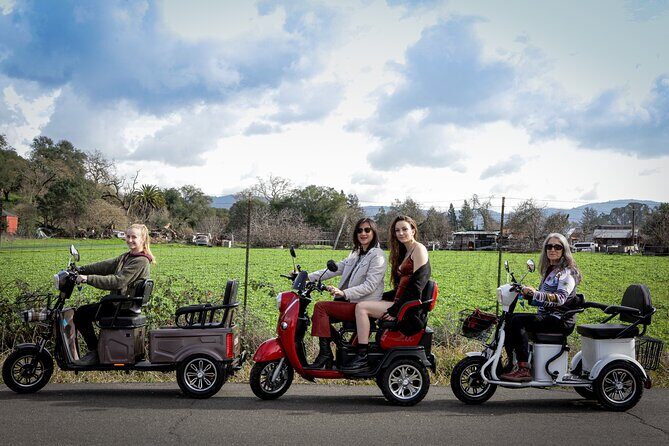 Sonoma Wine Country Electric Trike Tour - 3 hours - Key Points