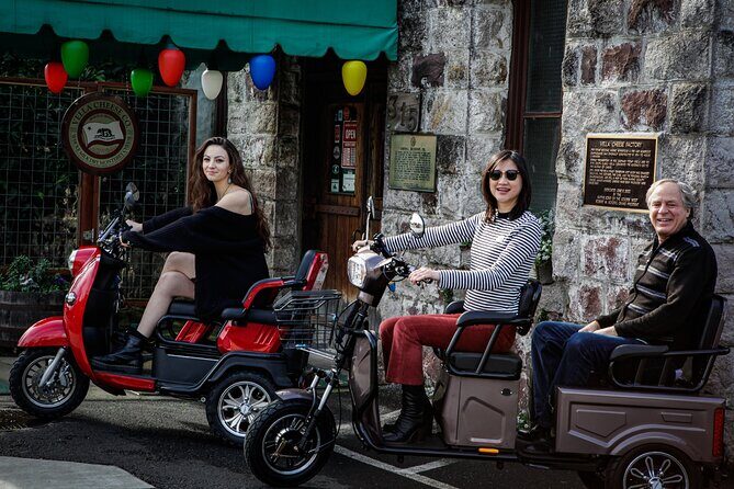 Sonoma Wine Country Electric Trike Tour - 5 hours - Who Should Consider This Tour?