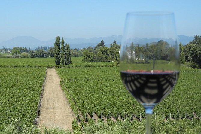 Sonoma Wine Tour with 2 Tastings Included Small-Group Half Day - An In-Depth Look at the Sonoma Wine Tour Experience