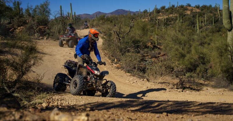 Sonoran Desert: Beginner ATV Training & Desert Tour Combo - Who Will Enjoy This Tour?