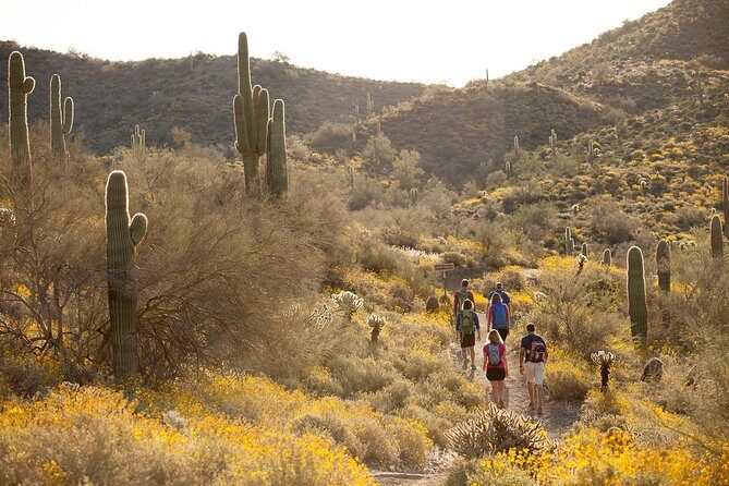 Sonoran Desert Guided Hike - Who Will Love This Tour?