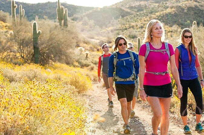 Sonoran Desert Guided Hike - The Sum Up: Who Is This Tour Best For?