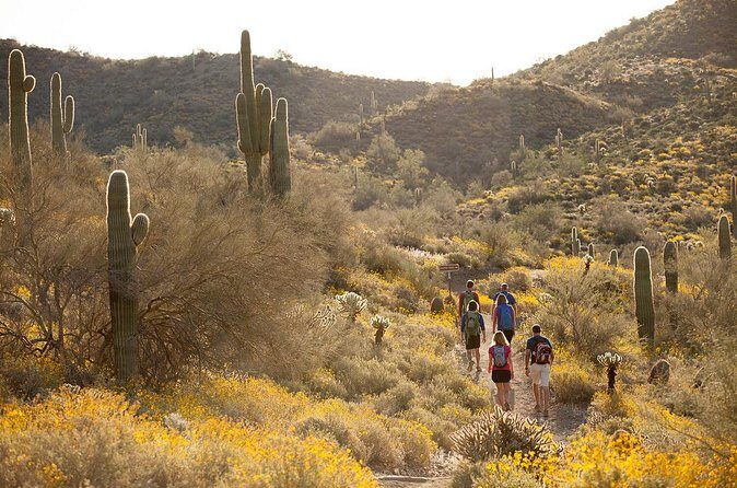 Sonoran Desert Guided Hike - FAQ: Your Questions Answered