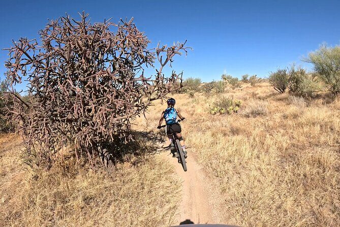 Sonoran Desert Guided Mountain Bike Adventure - Discovering Tucson’s Sonoran Desert by Bike