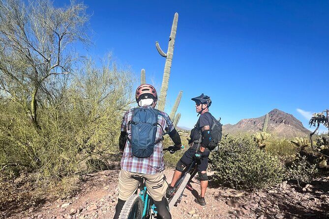 Sonoran Desert Guided Mountain Bike Adventure - What to Consider Before Booking