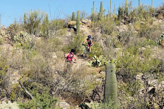 Sonoran Desert Guided Mountain Bike Adventure - Frequently Asked Questions