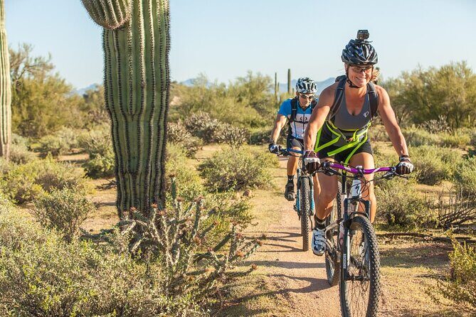 Sonoran Desert Guided Mountain Bike Tour - Key Points