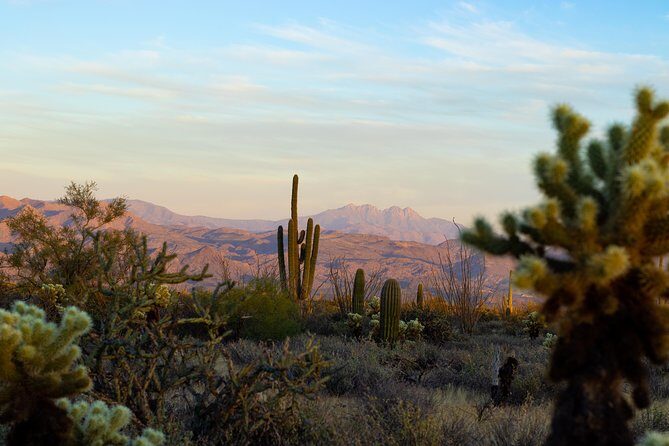 Sonoran Desert Jeep Tour at Sunset - FAQs