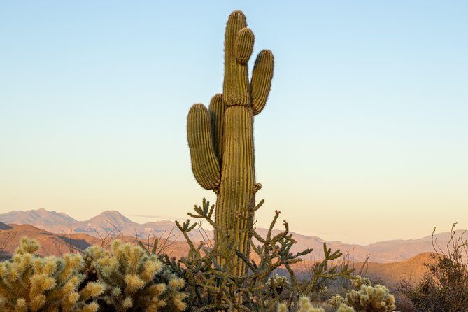 Sonoran Desert Jeep Tour - An In-Depth Look at the Tour Itinerary