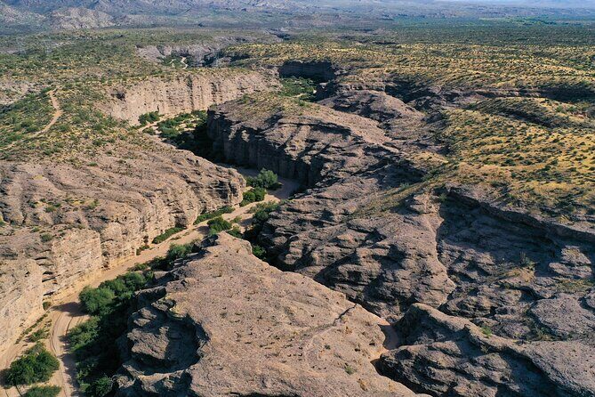 Sonoran Desert Jeep Tour - Final Thoughts: Is This Tour Right for You?