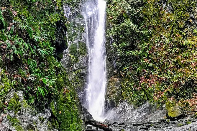 Sooke to Port Renfrew: Wild Pacific Adventure - Frequently Asked Questions