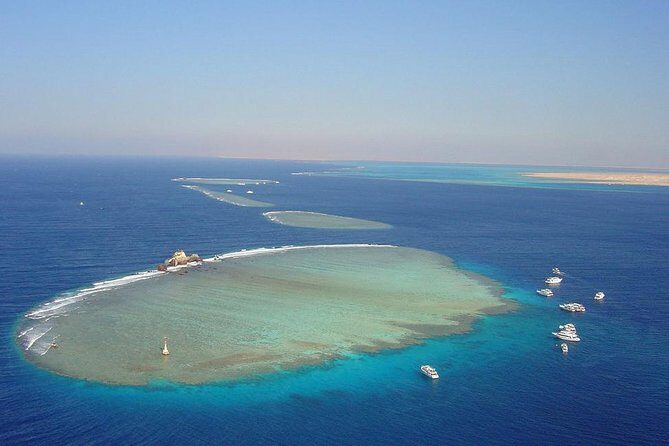 Sorkeling Trip to the White Island & Ras Mohammed - The Value Proposition