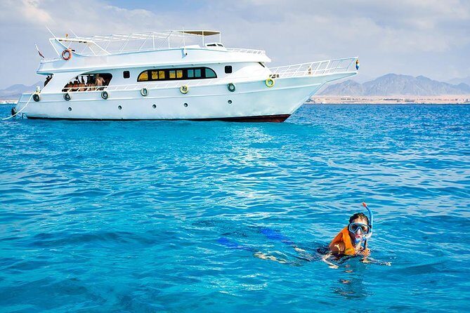 Sorkeling Trip to the White Island & Ras Mohammed - Who Is This Tour Best For?