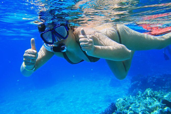 Sorkeling Trip to the White Island & Ras Mohammed - Final Thoughts