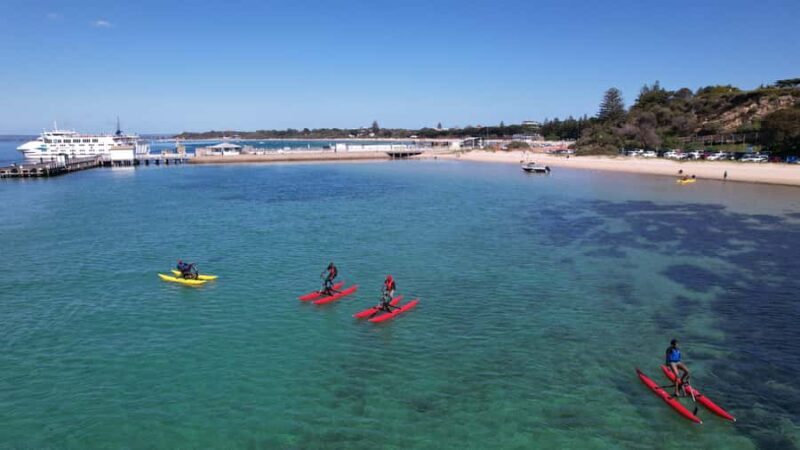 Sorrento, Mornington Peninsula Waterbike Tour - What Makes This Tour Stand Out?