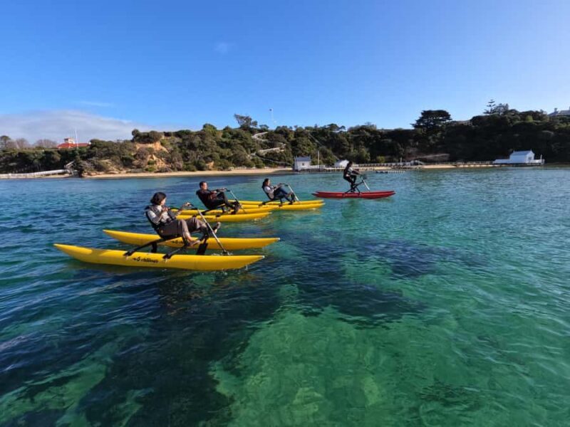 Sorrento, Mornington Peninsula Waterbike Tour - What to Expect During the Tour