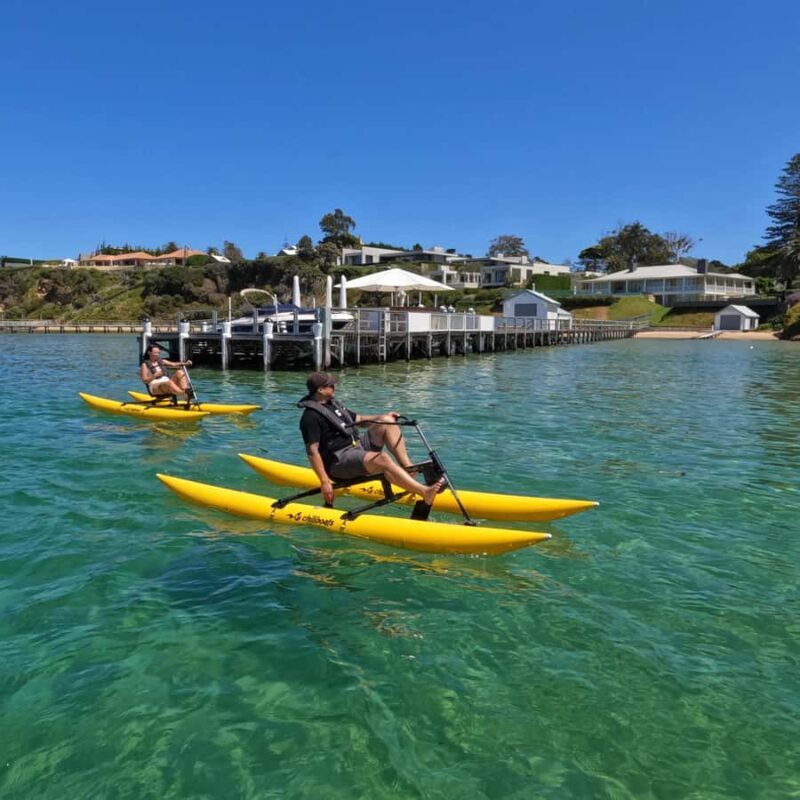 Sorrento, Mornington Peninsula Waterbike Tour - Practical Tips and Final Thoughts