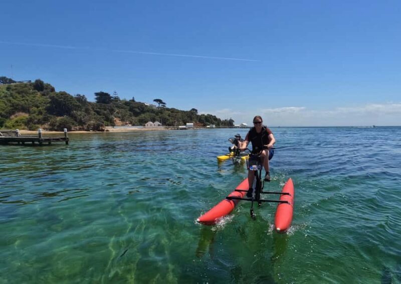 Sorrento, Mornington Peninsula Waterbike Tour - Who Will Enjoy This Experience?
