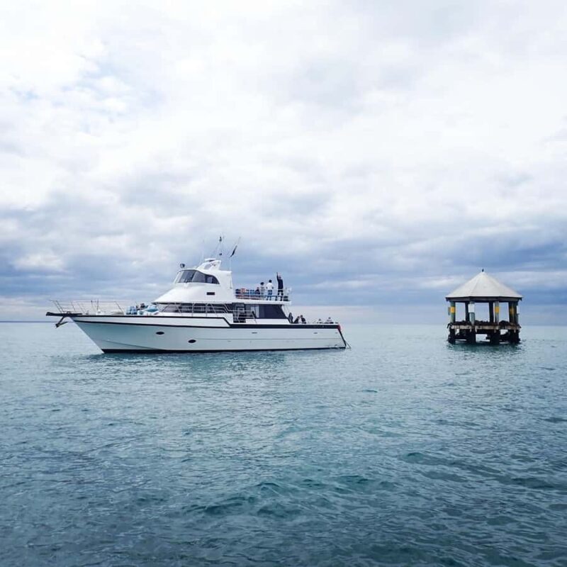 Sorrento,Mornington Peninsula: Wildlife & Sightseeing Cruise - Key Points