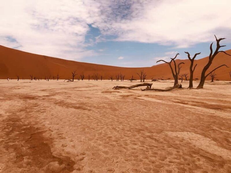 Sossusvlei: Day Trip - An In-Depth Look at the Sossusvlei Day Trip