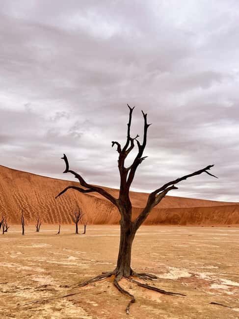 Sossusvlei: Day Trip - Final Thoughts