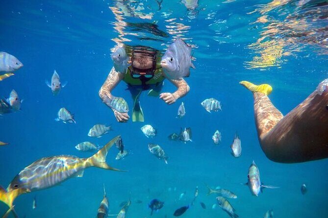 Sosua Party Boat -Snorkeling-Brunch-Drinks-Snacks-Transportation - Punctuality and Communication: A Mixed Bag