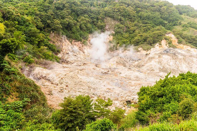 Soufriere Island Delight - Who Should Take This Tour?
