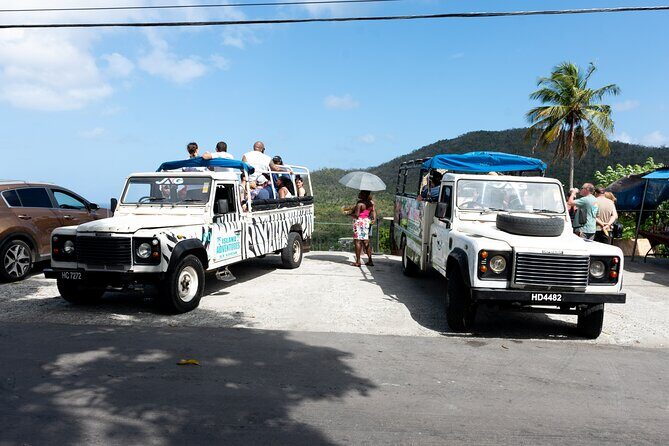 Soufriere Volcano Experience - What Travelers Say