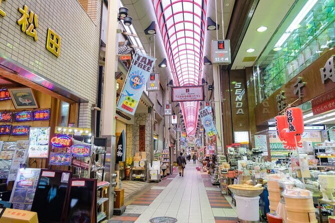 Soul of Osaka Walking Tour - Who This Tour Is Best For
