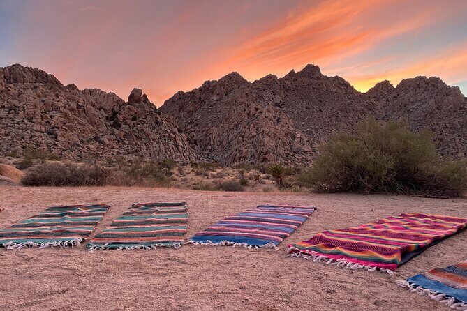 Soundbath Under The Stars-Joshua Tree - The Environment and Setting